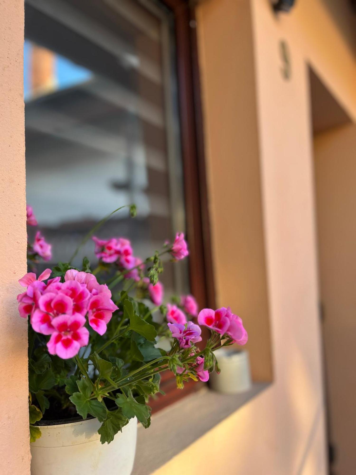 Moon And Sun Apartments Sibiu Exterior photo